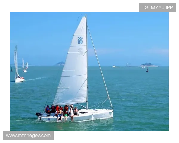 bob官方真人带来的真实体验让粉丝感受到最真诚的互动