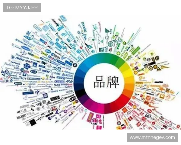 中国凯发集团有限公司在海外市场的品牌推广策略与合作伙伴关系建设